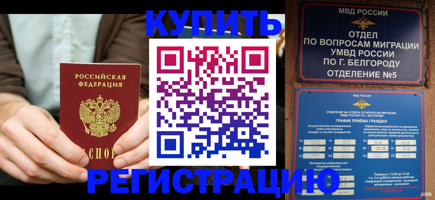 прописка 2025 в Кстово
